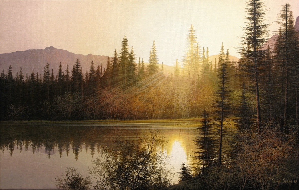 David Daase tranquil Forest Hues